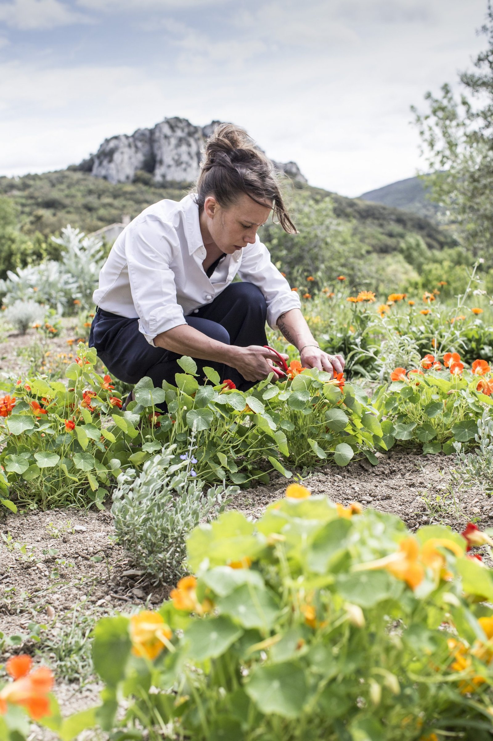 The chief Amélie Darvas opened the Aponem restaurant dedicated to cooking food from their vegetable garden.