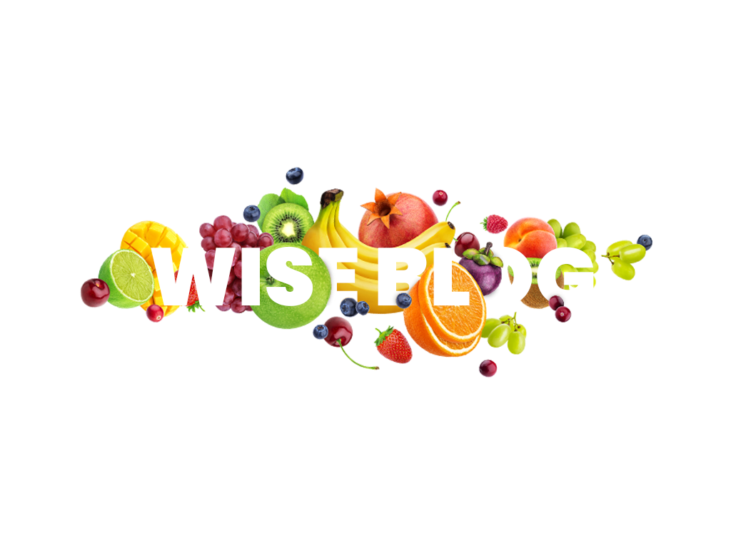 Wisefins augmente vos performances financières  logiciel écologique et financier l’alimentation